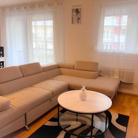 Havre De Paix 2-3 Pieces Apartman Strasbourg Kültér fotó