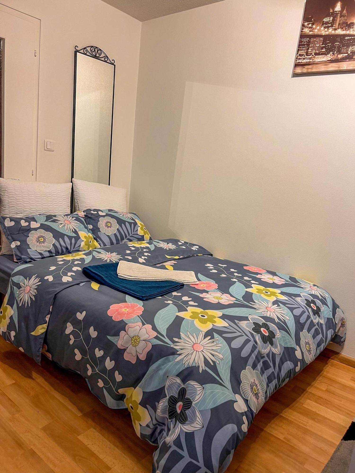 Havre De Paix 2-3 Pieces Apartman Strasbourg Kültér fotó